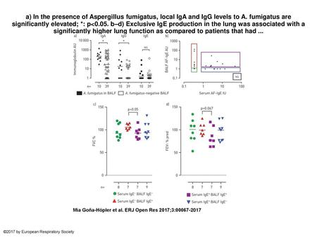 A) In the presence of Aspergillus fumigatus, local IgA and IgG levels to A. fumigatus are significantly elevated; *: p