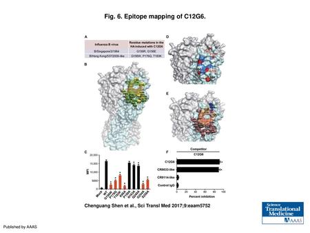 Fig. 6. Epitope mapping of C12G6.