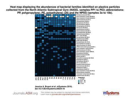 Heat map displaying the abundances of bacterial families identified on plastics particles collected from the North Atlantic Subtropical Gyre (NASG, samples.