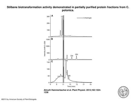 Stilbene biotransformation activity demonstrated in partially purified protein fractions from C. polonica. Stilbene biotransformation activity demonstrated.