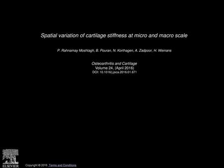 Spatial variation of cartilage stiffness at micro and macro scale