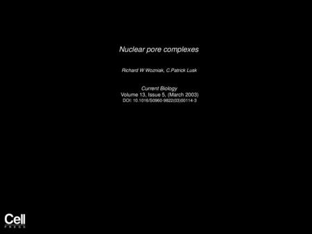 Nuclear pore complexes