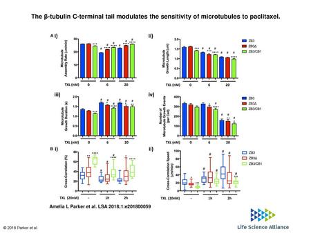 The β-tubulin C-terminal tail modulates the sensitivity of microtubules to paclitaxel. The β-tubulin C-terminal tail modulates the sensitivity of microtubules.