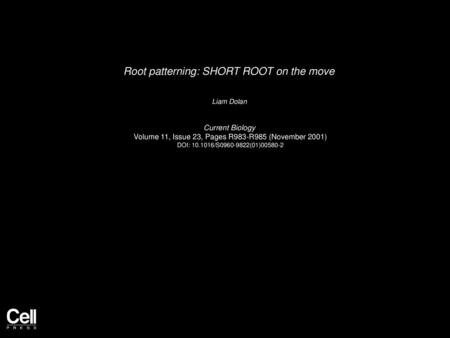 Root patterning: SHORT ROOT on the move