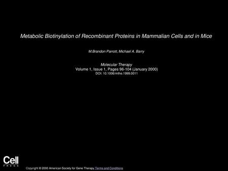 M.Brandon Parrott, Michael A. Barry  Molecular Therapy 