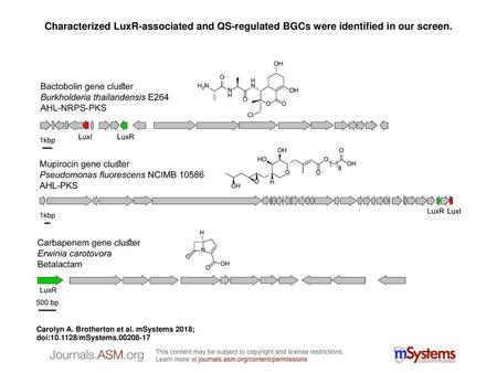 Characterized LuxR-associated and QS-regulated BGCs were identified in our screen. Characterized LuxR-associated and QS-regulated BGCs were identified.