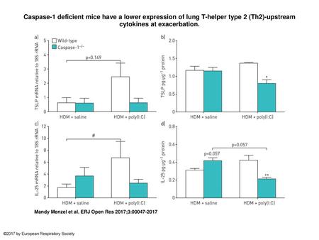 Caspase-1 deficient mice have a lower expression of lung T-helper type 2 (Th2)-upstream cytokines at exacerbation. Caspase-1 deficient mice have a lower.