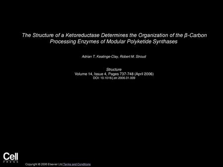 The Structure of a Ketoreductase Determines the Organization of the β-Carbon Processing Enzymes of Modular Polyketide Synthases  Adrian T. Keatinge-Clay,