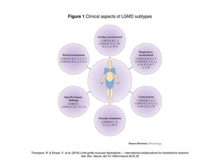 Figure 1 Clinical aspects of LGMD subtypes