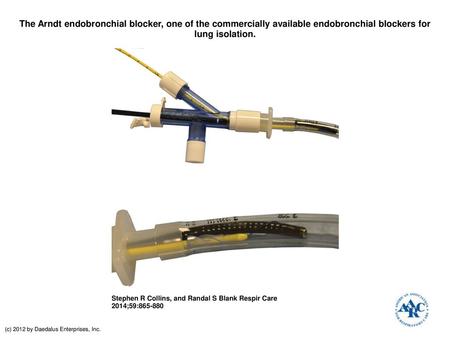 The Arndt endobronchial blocker, one of the commercially available endobronchial blockers for lung isolation. The Arndt endobronchial blocker, one of the.