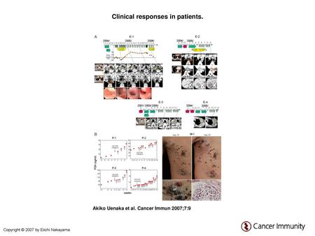 Clinical responses in patients.