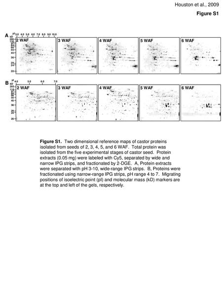 Houston et al., 2009 Figure S1 A B