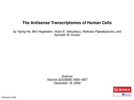 The Antisense Transcriptomes of Human Cells