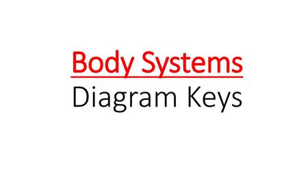 Body Systems Diagram Keys