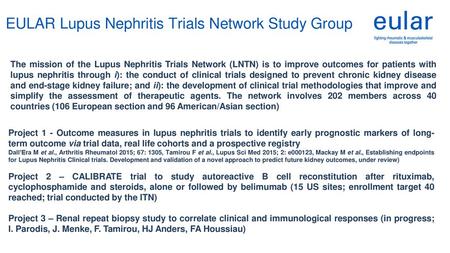 EULAR Lupus Nephritis Trials Network Study Group