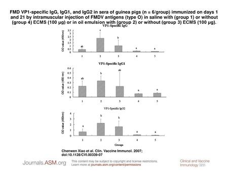 FMD VP1-specific IgG, IgG1, and IgG2 in sera of guinea pigs (n = 6/group) immunized on days 1 and 21 by intramuscular injection of FMDV antigens (type.