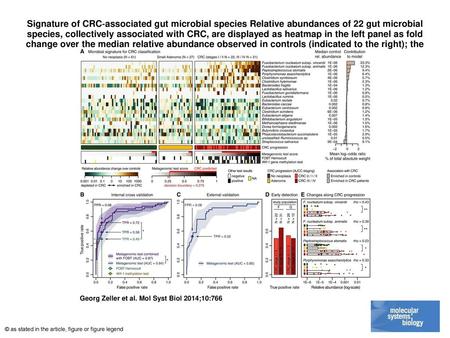 Signature of CRC‐associated gut microbial species Relative abundances of 22 gut microbial species, collectively associated with CRC, are displayed as heatmap.