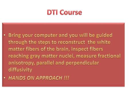 DTI Course Bring your computer and you will be guided through the steps to reconstruct the white matter fibers of the brain, inspect fibers reaching gray.