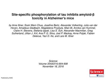 Site-specific phosphorylation of tau inhibits amyloid-β toxicity in Alzheimer’s mice by Arne Ittner, Sook Wern Chua, Josefine Bertz, Alexander Volkerling,