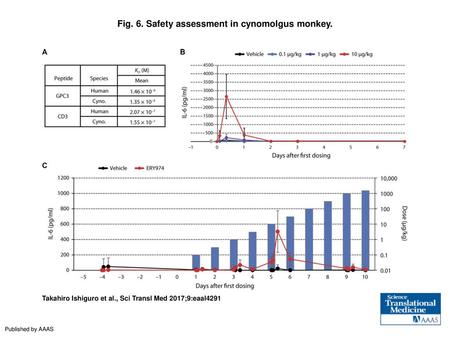 Fig. 6. Safety assessment in cynomolgus monkey.