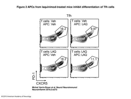 Figure 2 APCs from laquinimod-treated mice inhibit differentiation of Tfh cells APCs from laquinimod-treated mice inhibit differentiation of Tfh cells.