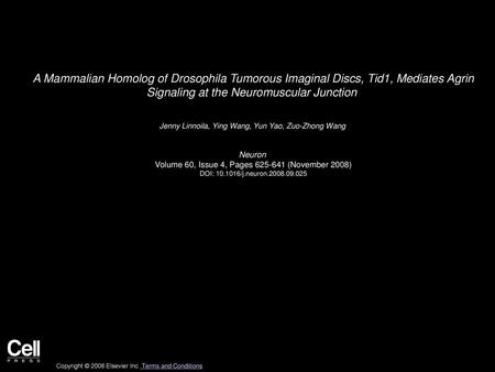 A Mammalian Homolog of Drosophila Tumorous Imaginal Discs, Tid1, Mediates Agrin Signaling at the Neuromuscular Junction  Jenny Linnoila, Ying Wang, Yun.