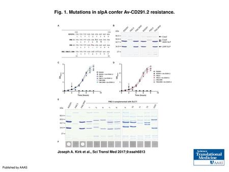 Fig. 1. Mutations in slpA confer Av-CD291.2 resistance.