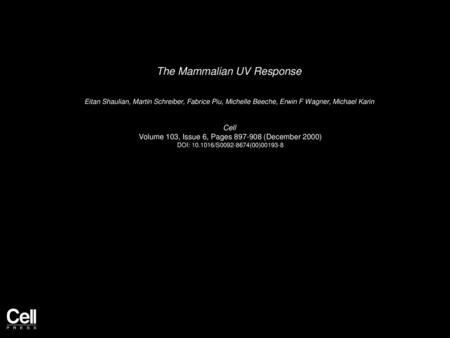 The Mammalian UV Response