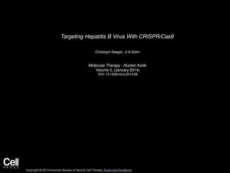 Targeting Hepatitis B Virus With CRISPR/Cas9