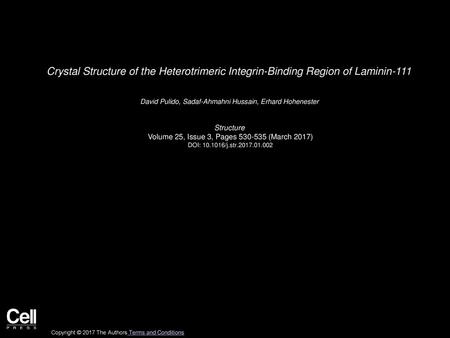 David Pulido, Sadaf-Ahmahni Hussain, Erhard Hohenester  Structure 