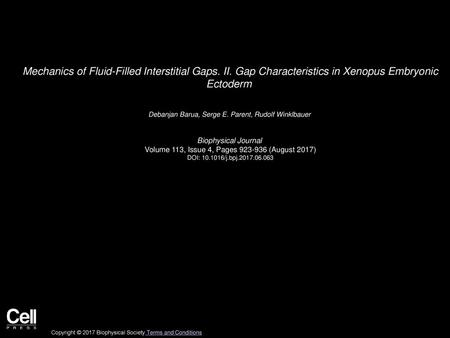 Mechanics of Fluid-Filled Interstitial Gaps. II