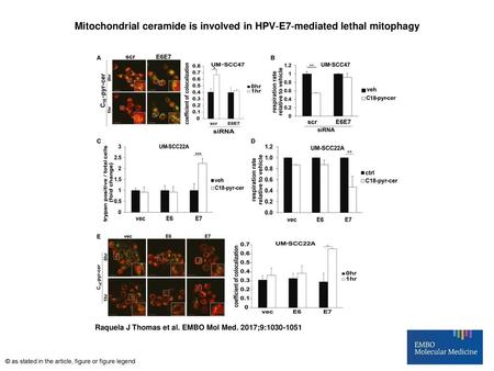 Mitochondrial ceramide is involved in HPV‐E7‐mediated lethal mitophagy