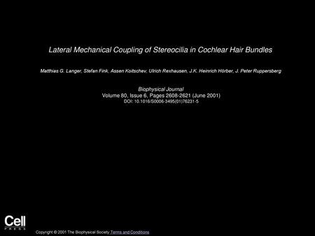 Lateral Mechanical Coupling of Stereocilia in Cochlear Hair Bundles