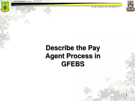 Describe the Pay Agent Process in GFEBS