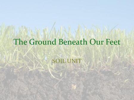 The Ground Beneath Our Feet