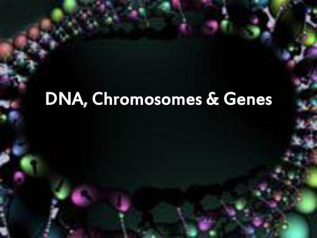 DNA, Chromosomes & Genes