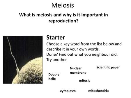 What is meiosis and why is it important in reproduction?