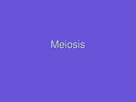 Meiosis.