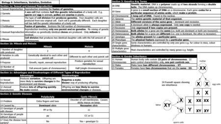 XX XX XY XY Biology 6: Inheritance, Variation, Evolution