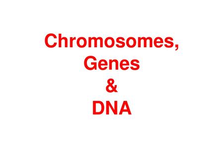 Chromosomes, Genes & DNA.