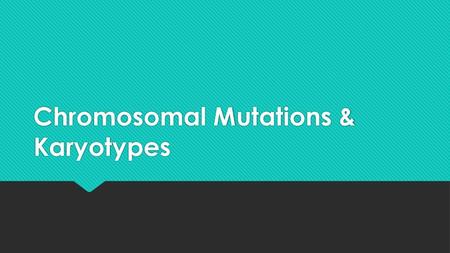 Chromosomal Mutations & Karyotypes