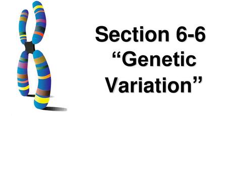 Section 6-6 “Genetic Variation”