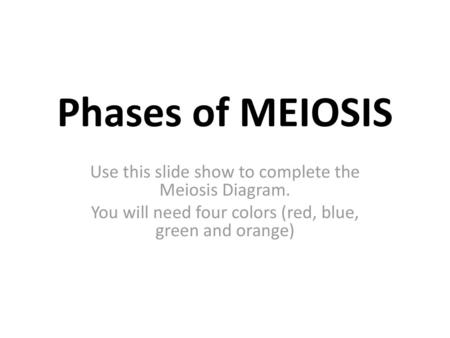 Phases of MEIOSIS Use this slide show to complete the Meiosis Diagram.