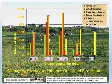 Managing Grazing to Enhance Grassland Bird Habitat