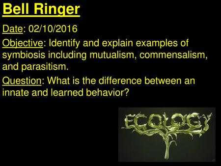 Bell Ringer Date: 02/10/2016 Objective: Identify and explain examples of symbiosis including mutualism, commensalism, and parasitism. Question: What is.