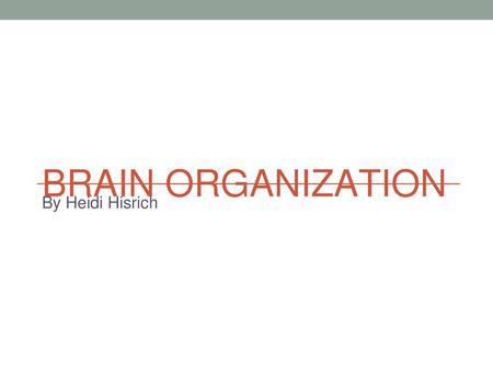 BRAIN ORGANIZATION By Heidi Hisrich.