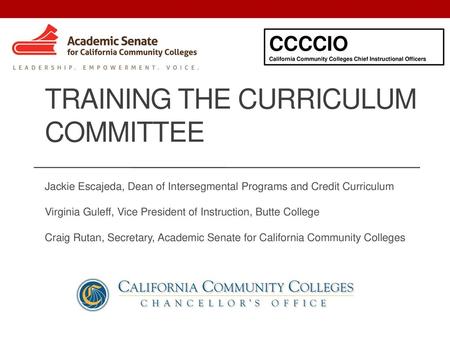 Training the curriculum committee