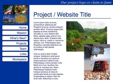 Project / Website Title