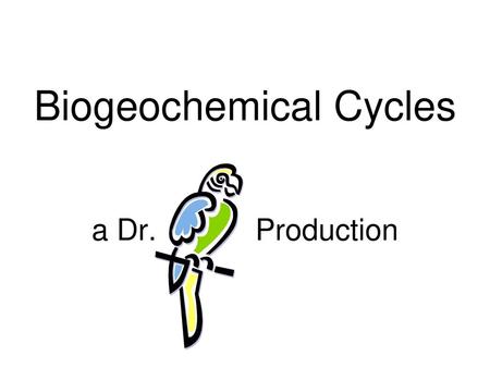 Biogeochemical Cycles