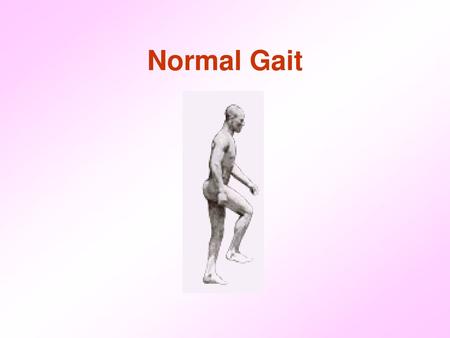 Normal Gait.